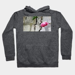 Paris Pere LaChaise Cemetery Wall Hoodie